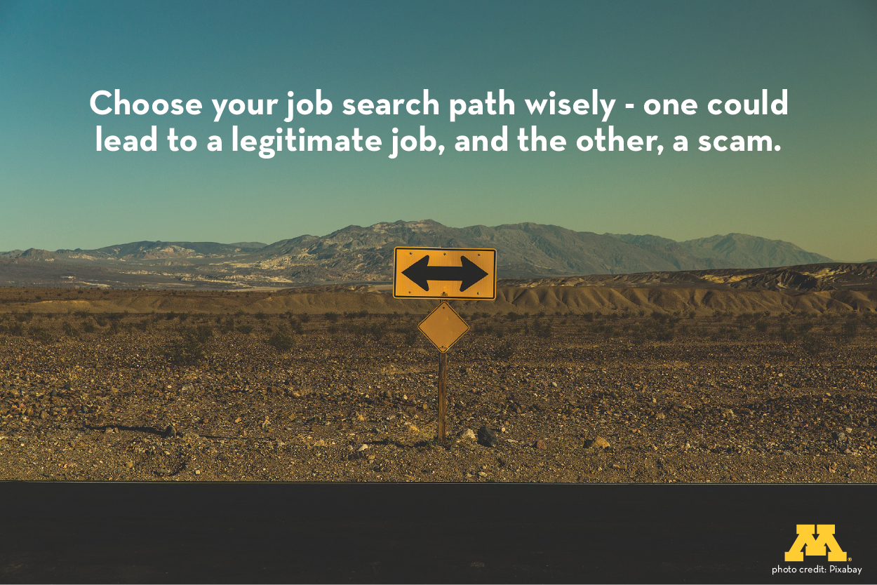 Road sign with text: choose your job search path wisely